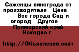 Саженцы винограда от производителя › Цена ­ 800 - Все города Сад и огород » Другое   . Приморский край,Находка г.